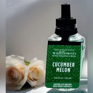 Bath & Body Works Cucumber Melon Fragrance Refill